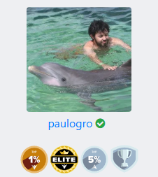 Paulo Gro swimming with a dolphin profile image on WarriorPlus with verified badge